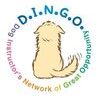 D.I.N.G.O. TAIWAN 愛犬訓練教育