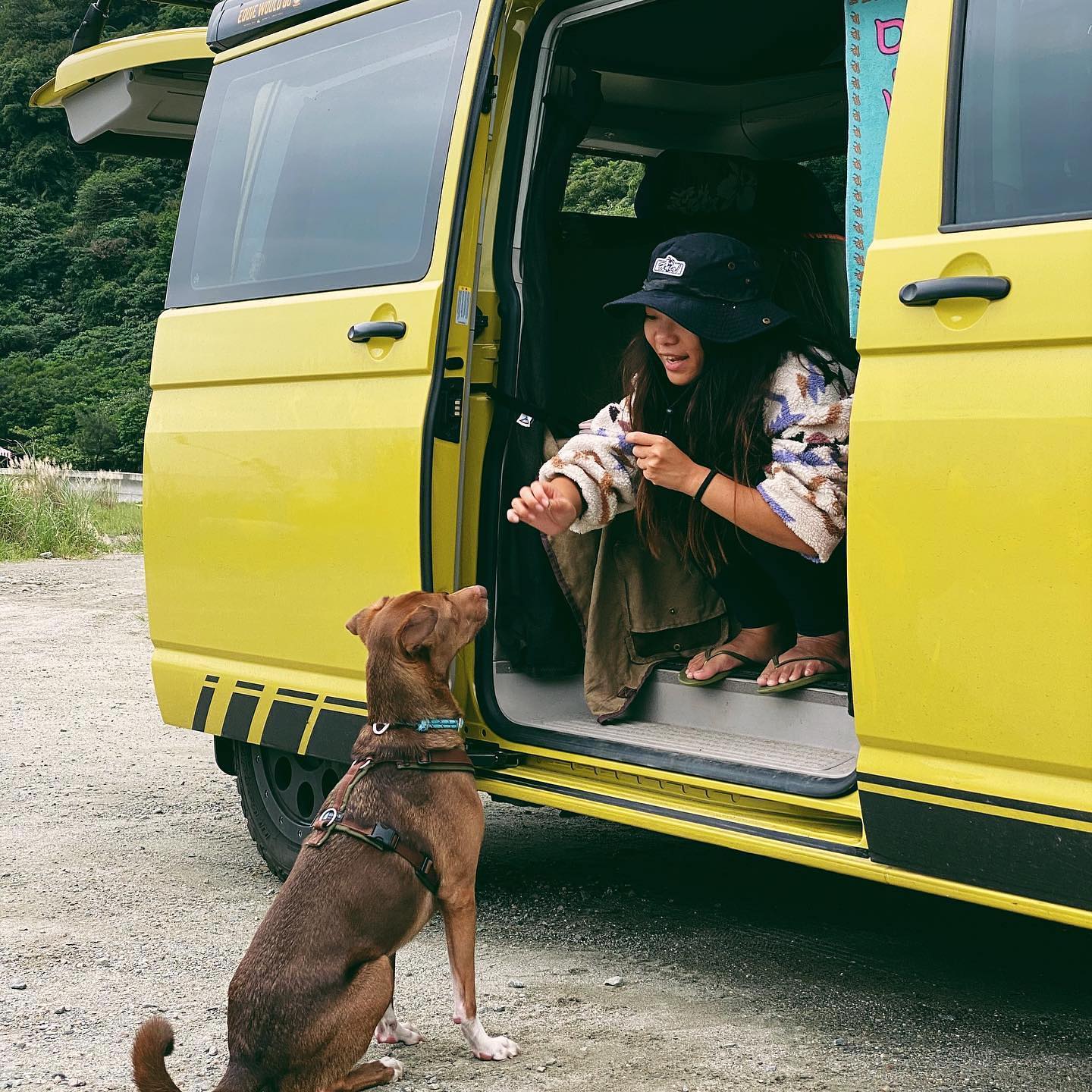 Happy Ruff 很春 Happy Ruff Pets – D.I.N.G.O. TAIWAN 愛犬訓練教育